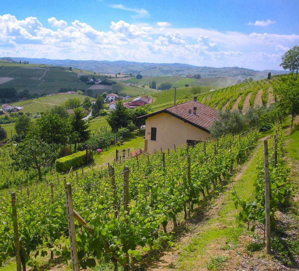 Cascina Tra I Vigneti A Nizza Monferrato Villa Eksteriør billede