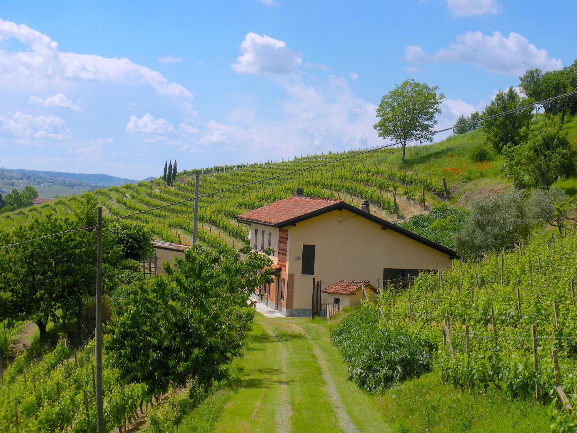 Cascina Tra I Vigneti A Nizza Monferrato Villa Eksteriør billede