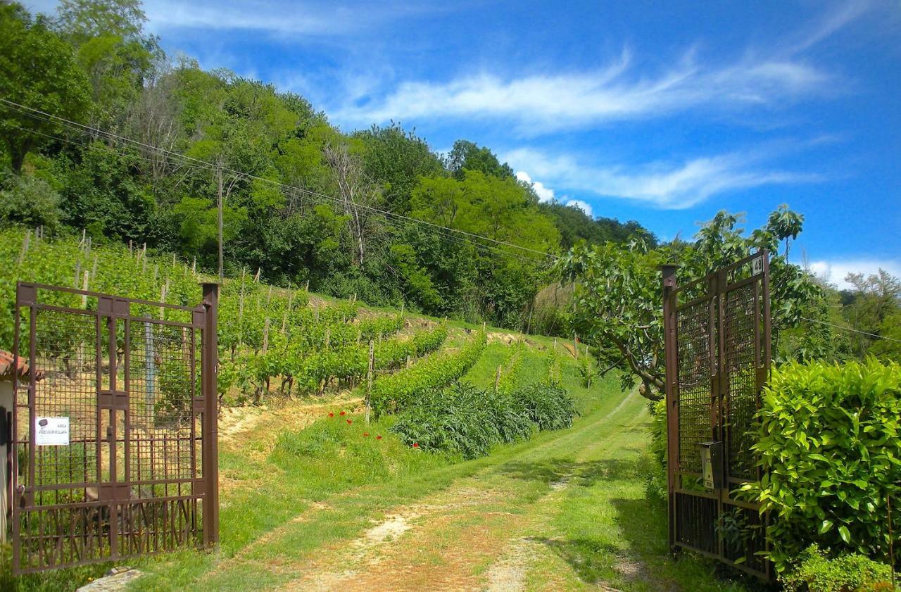 Cascina Tra I Vigneti A Nizza Monferrato Villa Eksteriør billede